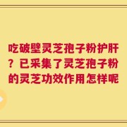 吃破壁灵芝孢子粉护肝？已采集了灵芝孢子粉的灵芝功效作用怎样呢