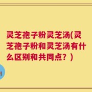 灵芝孢子粉灵芝汤(灵芝孢子粉和灵芝汤有什么区别和共同点？)