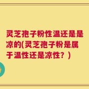 灵芝孢子粉性温还是是凉的(灵芝孢子粉是属于温性还是凉性？)