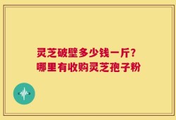 灵芝破壁多少钱一斤？哪里有收购灵芝孢子粉