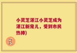 小灵芝湛江小灵芝成为湛江新宠儿，受到市民热捧)
