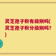 灵芝孢子粉有级别吗(灵芝孢子粉分级别吗？)