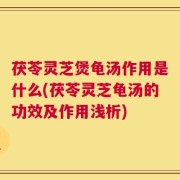 茯苓灵芝煲龟汤作用是什么(茯苓灵芝龟汤的功效及作用浅析)