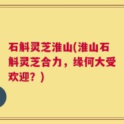 石斛灵芝淮山(淮山石斛灵芝合力，缘何大受欢迎？)
