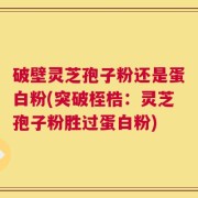 破壁灵芝孢子粉还是蛋白粉(突破桎梏：灵芝孢子粉胜过蛋白粉)