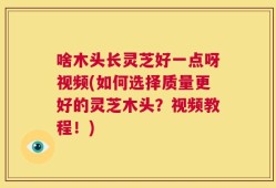 啥木头长灵芝好一点呀视频(如何选择质量更好的灵芝木头？视频教程！)