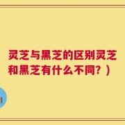 灵芝与黑芝的区别灵芝和黑芝有什么不同？)
