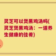 灵芝可以煲黑鸡汤吗(灵芝煲黑鸡汤：一道养生健康的佳肴)