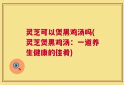 灵芝可以煲黑鸡汤吗(灵芝煲黑鸡汤：一道养生健康的佳肴)