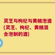 灵芝与枸杞与黄精泡酒(灵芝、枸杞、黄精混合泡制的酒)