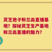 灵芝孢子粉兰淼直播基地？探秘灵芝生产基地和兰淼直播的魅力？