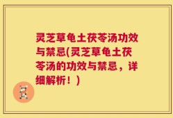 灵芝草龟土茯苓汤功效与禁忌(灵芝草龟土茯苓汤的功效与禁忌，详细解析！)