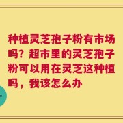 种植灵芝孢子粉有市场吗？超市里的灵芝孢子粉可以用在灵芝这种植吗，我该怎么办