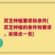 灵芝种植要求和条件(灵芝种植的条件和要求，关键点一览)