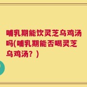 哺乳期能饮灵芝乌鸡汤吗(哺乳期能否喝灵芝乌鸡汤？)