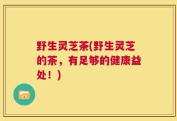 野生灵芝茶(野生灵芝的茶，有足够的健康益处！)
