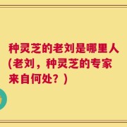 种灵芝的老刘是哪里人(老刘，种灵芝的专家来自何处？)