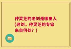 种灵芝的老刘是哪里人(老刘，种灵芝的专家来自何处？)