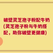 破壁灵芝孢子粉配牛奶(灵芝孢子粉与牛奶搭配，助你破壁更健康)