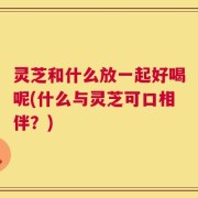 灵芝和什么放一起好喝呢(什么与灵芝可口相伴？)