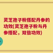 灵芝孢子粉搭配丹参的功效(灵芝孢子粉与丹参搭配，双倍功效)