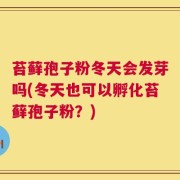 苔藓孢子粉冬天会发芽吗(冬天也可以孵化苔藓孢子粉？)