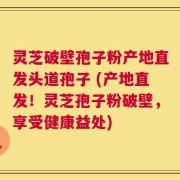 灵芝破壁孢子粉产地直发头道孢子 (产地直发！灵芝孢子粉破壁，享受健康益处)