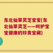 东北仙草灵芝宝宝(东北仙草灵芝——呵护宝宝健康的珍贵宝藏)