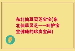 东北仙草灵芝宝宝(东北仙草灵芝——呵护宝宝健康的珍贵宝藏)