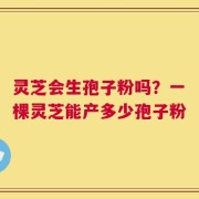 灵芝会生孢子粉吗？一棵灵芝能产多少孢子粉
