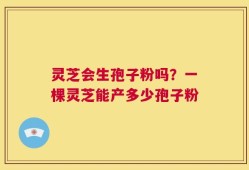 灵芝会生孢子粉吗？一棵灵芝能产多少孢子粉