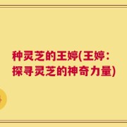 种灵芝的王婷(王婷：探寻灵芝的神奇力量)