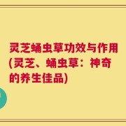 灵芝蛹虫草功效与作用(灵芝、蛹虫草：神奇的养生佳品)