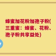 蜂蜜加花粉加孢子粉(三重蜜：蜂蜜、花粉、孢子粉共享益处)