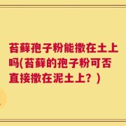 苔藓孢子粉能撒在土上吗(苔藓的孢子粉可否直接撒在泥土上？)
