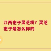江西孢子灵芝粉？灵芝孢子是怎么样的
