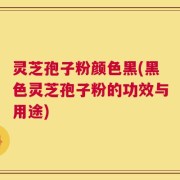 灵芝孢子粉颜色黑(黑色灵芝孢子粉的功效与用途)