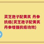 灵芝孢子配黄芪 丹参抗癌(灵芝孢子配黄芪丹参增强抗癌功效)