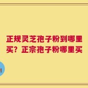 正规灵芝孢子粉到哪里买？正宗孢子粉哪里买