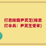 打恶除霸尹灵芝(除恶打伞兵：尹灵芝受审)