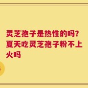 灵芝孢子是热性的吗？夏天吃灵芝孢子粉不上火吗