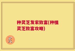 种灵芝发家致富(种植灵芝致富攻略)