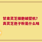 甘肃灵芝细胞破壁机？真灵芝孢子粉是什么味