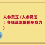 人参灵芝 (人参灵芝：多味草本提振免疫力)