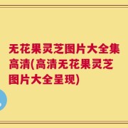 无花果灵芝图片大全集高清(高清无花果灵芝图片大全呈现)