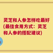 灵芝和人参怎样吃最好(最佳食用方式：灵芝和人参的搭配建议)