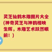 灵芝仙鹤木雕图片大全(神奇灵芝与神鹤相映生辉，木雕艺术跃然眼前！)