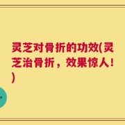 灵芝对骨折的功效(灵芝治骨折，效果惊人！)