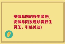安徽阜阳的野生灵芝(安徽阜阳发现珍贵野生灵芝，引起关注)