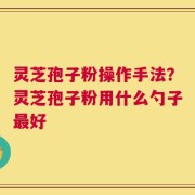 灵芝孢子粉操作手法？灵芝孢子粉用什么勺子最好